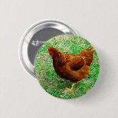 ブラウン・ヘン 缶バッジ (正面&裏面)