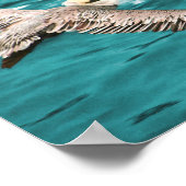 ブラウン・ペリカン風ライダー ポスター (角)