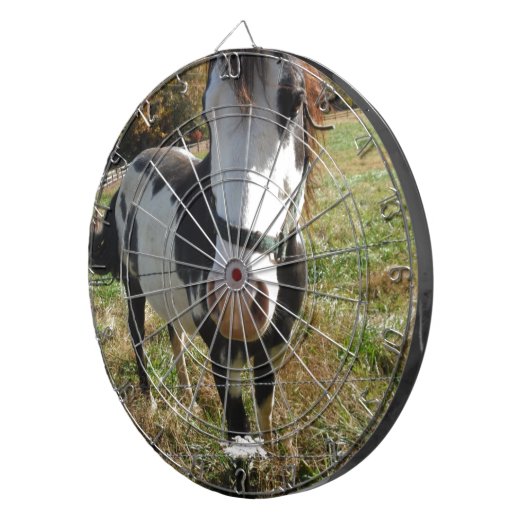 ブラウン&ホワイト絵を描、ウマス、クイーンアンレース花 ダーツボード (正面右)