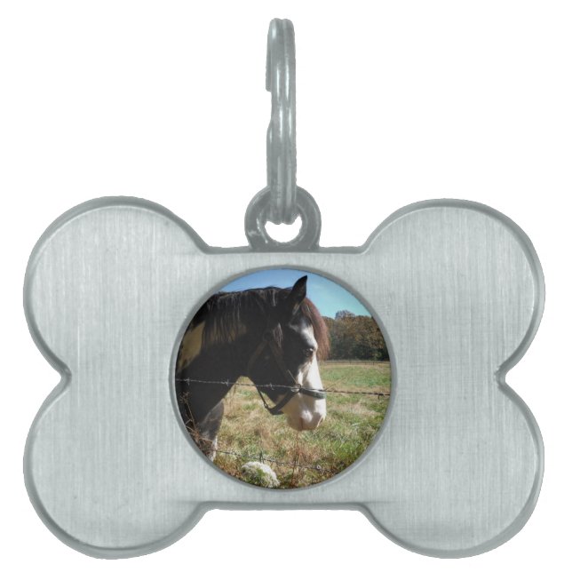 ブラウン&ホワイト絵を描、ウマス、クイーンアンレース花 ペットネームタグ (正面)
