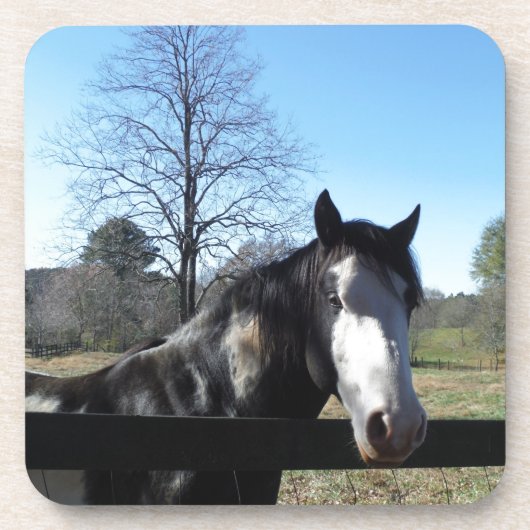 ブラウン&ホワイト、絵を描馬、明るい青空 コースター (正面)