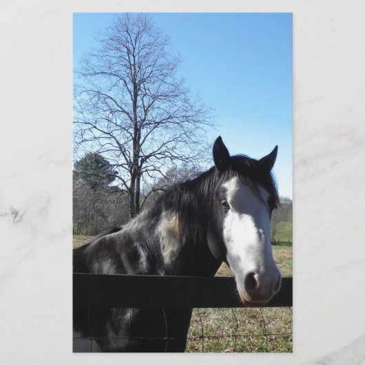 ブラウン&ホワイト、絵を描馬、明るい青空 便箋 (正面)