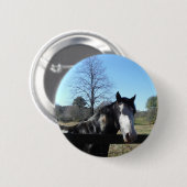 ブラウン&ホワイト、絵を描馬、明るい青空 缶バッジ (正面&裏面)