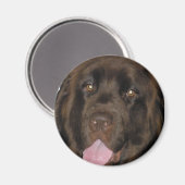 ブラウン マグネット (正面/裏面)