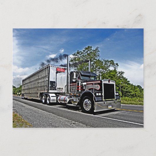 ブラウンBモデル葉書 ポストカード (正面)