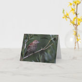 ブラウンThrasher -ジョーSweeney -カード カード (黄色い花)