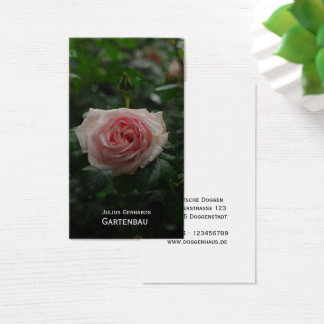 ブラウ・ウント・フレイ