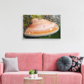 ブラケット菌 キャンバスプリント (インサイチュ (リビング))