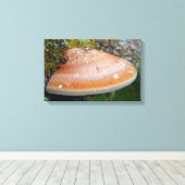 ブラケット菌 キャンバスプリント (インサイチュ (ウッドフロア))