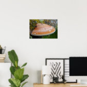 ブラケット菌 ポスター (ホームオフィス)