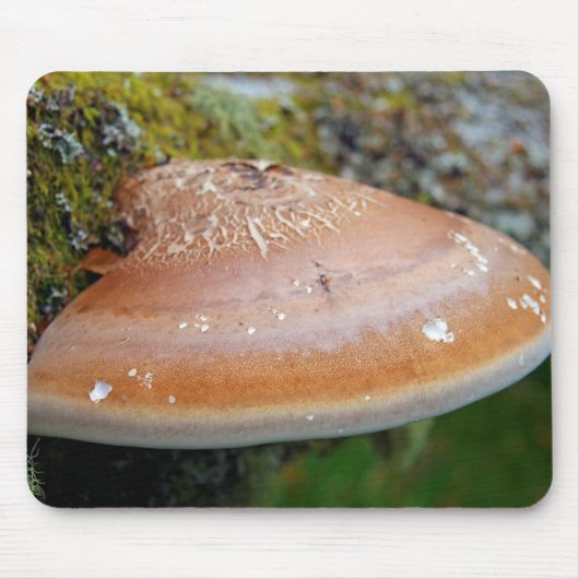 ブラケット菌 マウスパッド (正面)
