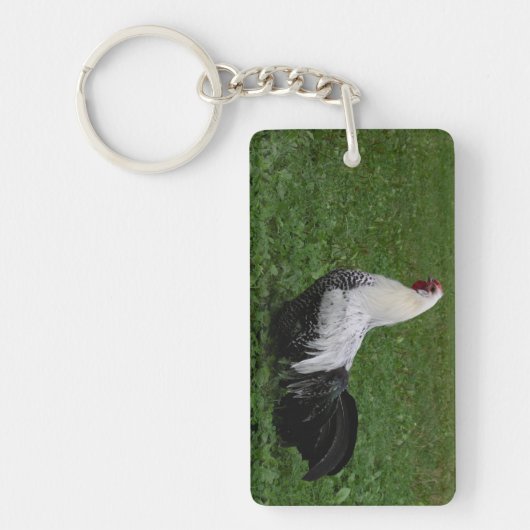 ブラケルハーン キーホルダー (正面)