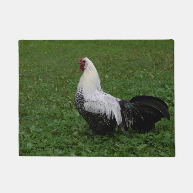 ブラケルハーン ドアマット (正面)