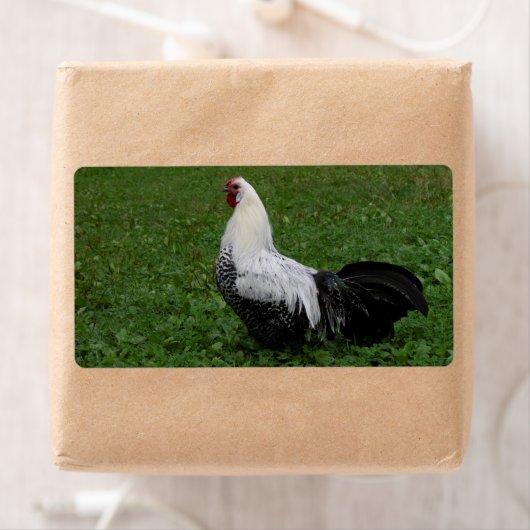 ブラケルハーン ラベル (インサイチュ)