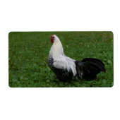 ブラケルハーン ラベル (正面)