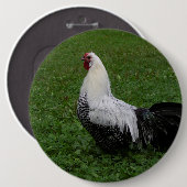 ブラケルハーン 缶バッジ (正面&裏面)