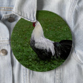 ブラケルハーン 缶バッジ (インサイチュ)