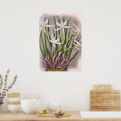 ブラサボラキュクラッタヴィンテージホワイトラン ポスター (キッチン)