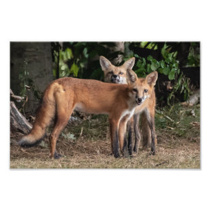 ブラザーの写真プリント フォトプリント