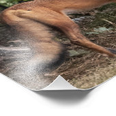 ブラザーの写真プリント フォトプリント            (角)