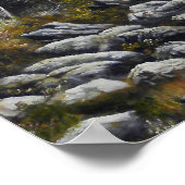 ブラザーズ4オオオカミのキャンバス油絵の販売 ポスター (角)