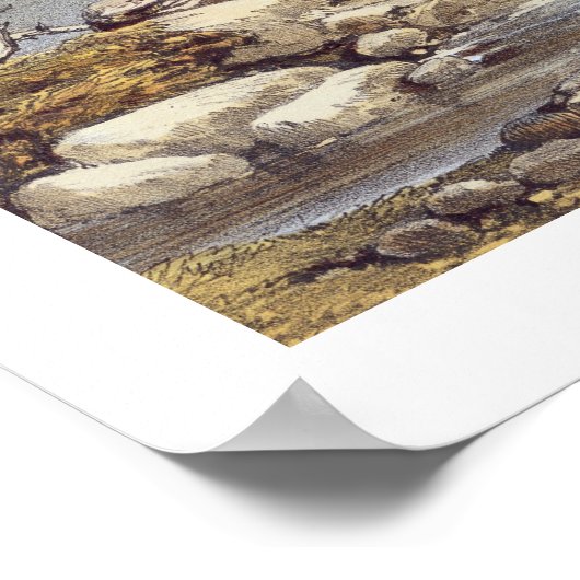 ブラザーズ・ウォーター、アイススケーターの詳細、'The Eから ポスター (角)