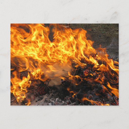 ブラシの焼き付け ポストカード (正面)