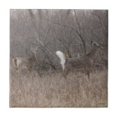 ブラシのD1によって白後につかれるシカの春の木びき台 タイル (正面)