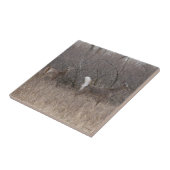 ブラシのD1によって白後につかれるシカの春の木びき台 タイル (側面)