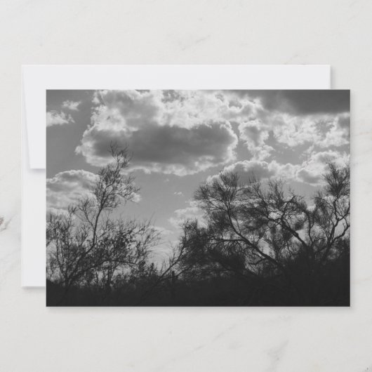 ブラシバックライト（AZソノラン砂漠）招待状 招待状 (正面)