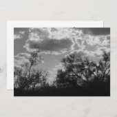 ブラシバックライト（AZソノラン砂漠）招待状 招待状 (正面/裏面)