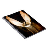 ブラシ2013年 ノートブック (右側)