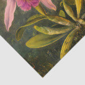 ブラジアートルカタテリア蘭と3ハミングバード 薄葉紙 (詳細)