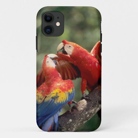 ブラジルのアマゾン。スカーレット·マカウ(アラ) Case-Mate iPhoneケース (裏面)