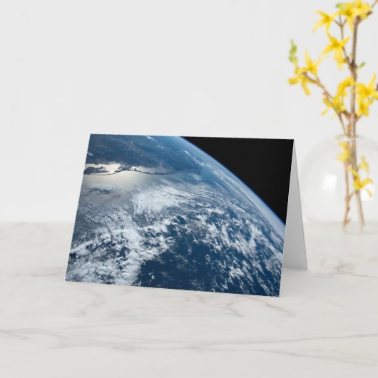 ブラジルのウルグアイ縁どの南端。 カード (黄色い花)