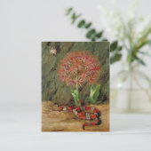 ブラジルのサンゴのヘビとクモの花の帝国時代 ポストカード (スタンド正面)