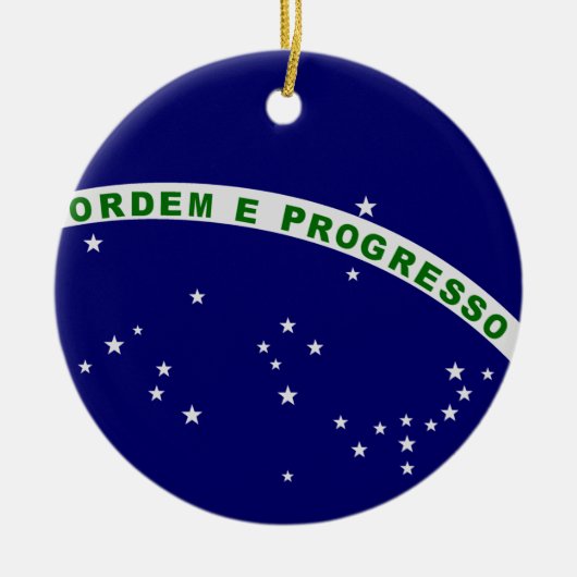 ブラジルのシール セラミックオーナメント (正面)