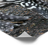 ブラジルのタピールポスター ポスター (角)