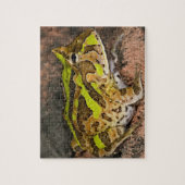 ブラジルのツキガエル Ceratophrys cornuta ジグソーパズル (縦)