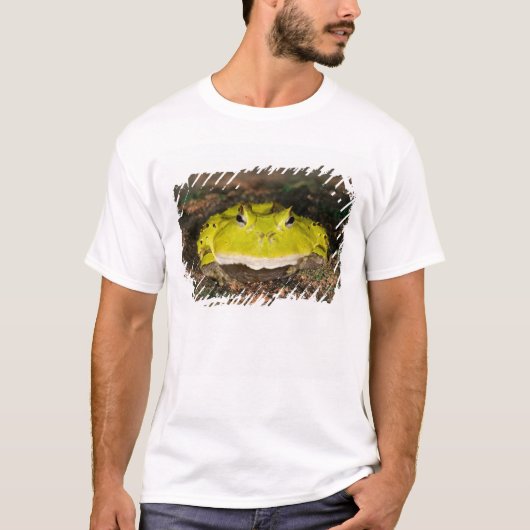 ブラジルのツキガエル Ceratophrys cornuta 2 Tシャツ (正面)