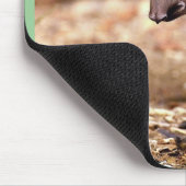 ブラジルのバク、川の側の若い子牛 マウスパッド (コーナー)