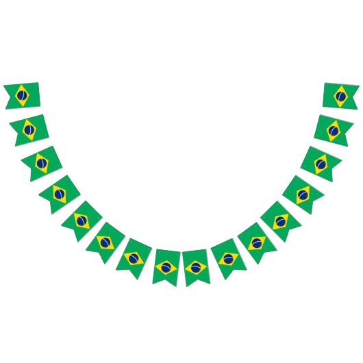 ブラジルのパーティーの旗布の旗の国旗 バンティングフラッグ (全)