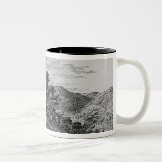 ブラジルのプランターの家 ツートーンマグカップ (右)