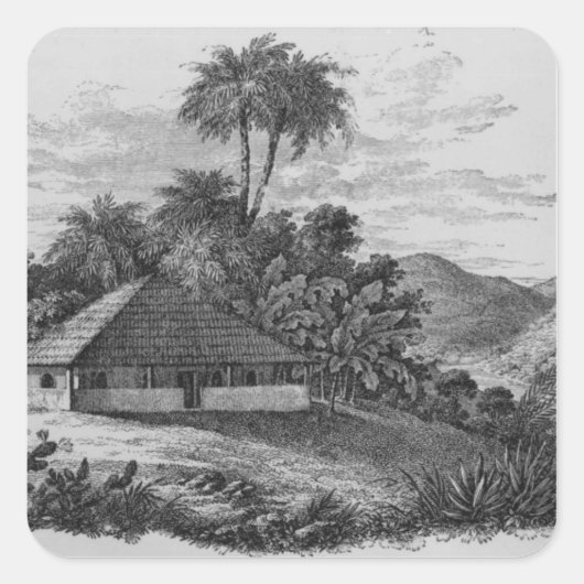 ブラジルのプランターズハウス スクエアシール (正面)