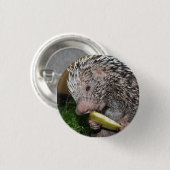 ブラジルのヤマアラシかPrehensile後につかれたヤマアラシ 缶バッジ (正面&裏面)