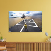 ブラジルのユーロコッパーが着陸の準備をする キャンバスプリント (インサイチュ (リビング))