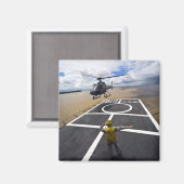 ブラジルのユーロコッパーが着陸の準備をする マグネット (正面/裏面)