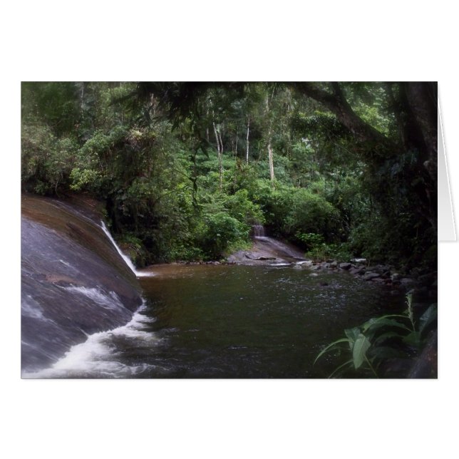 ブラジルの滝 (正面横)