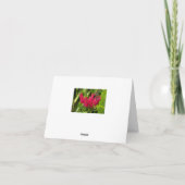 ブラジルの異例のキャンドルあいさつメモ カード (裏面)