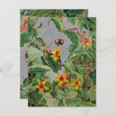 ブラジルの登山の低木とハミング鳥 ポストカード (正面/裏面)